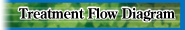 to Treatment Flow Diagram